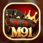 M91 Game